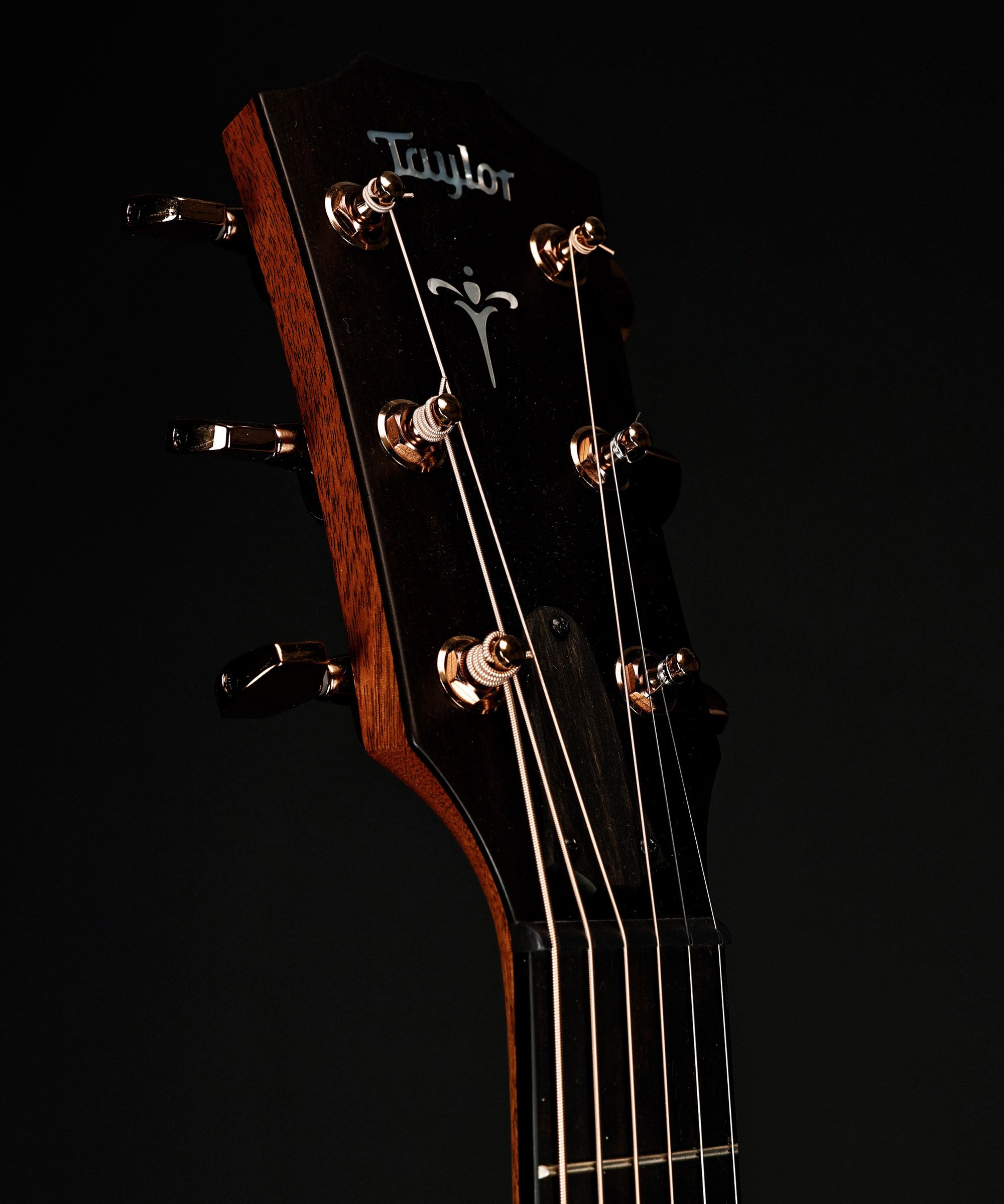 Taylor 722ce – Bild 5